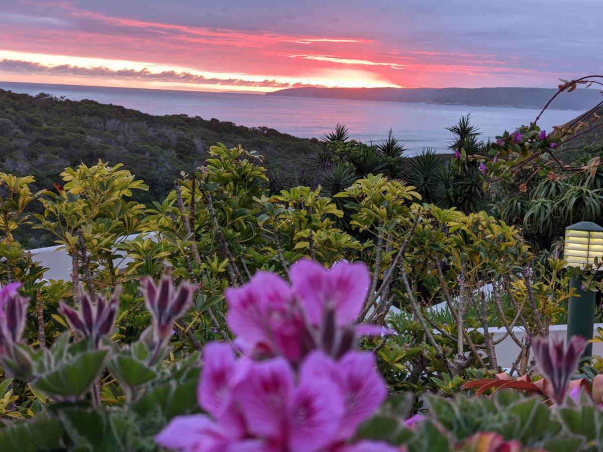 Villa Cape Garden Route Wildernis Exterior foto