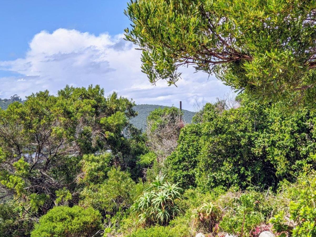 Villa Cape Garden Route Wildernis Exterior foto